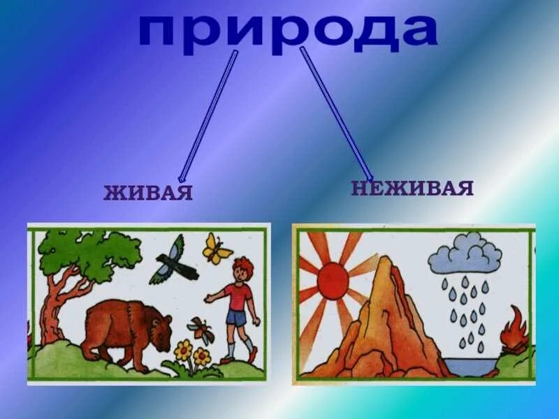 Природные связи между объектами. Схема по окружающему миру 2 класс Живая и неживая природа. Объекты неживой природы 2 класс окружающий мир. Взаимосвязь живой и неживой природы. Живая и не мивая природа.