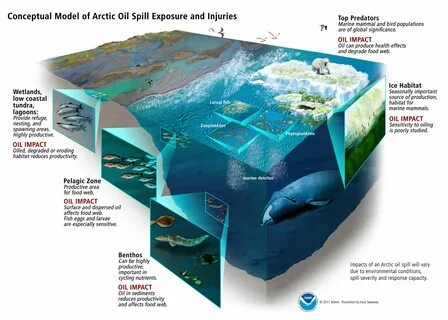Environment geography