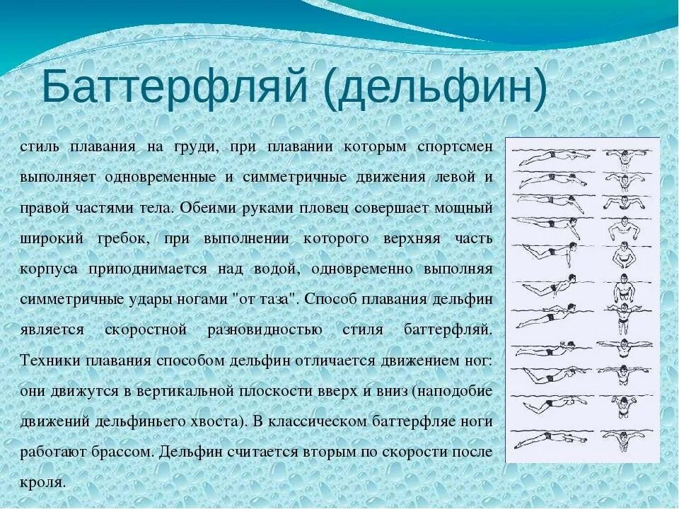 Плавание брасс баттерфляй. Схема плавания баттерфляй. Способ плавания баттерфляй. Баттерфляй спина брасс кроль. Техника способа баттерфляй.