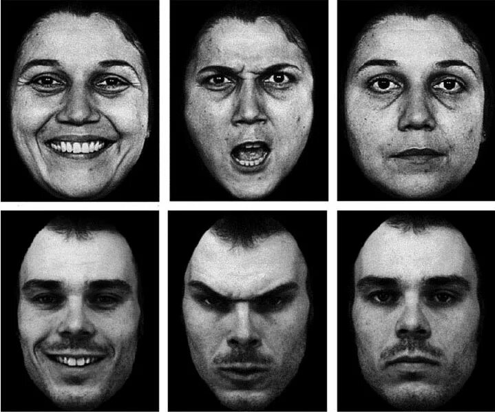 Пол Экман микромимика. Эмоции человека. Эмоции на лице человека. Эмоции картинки.
