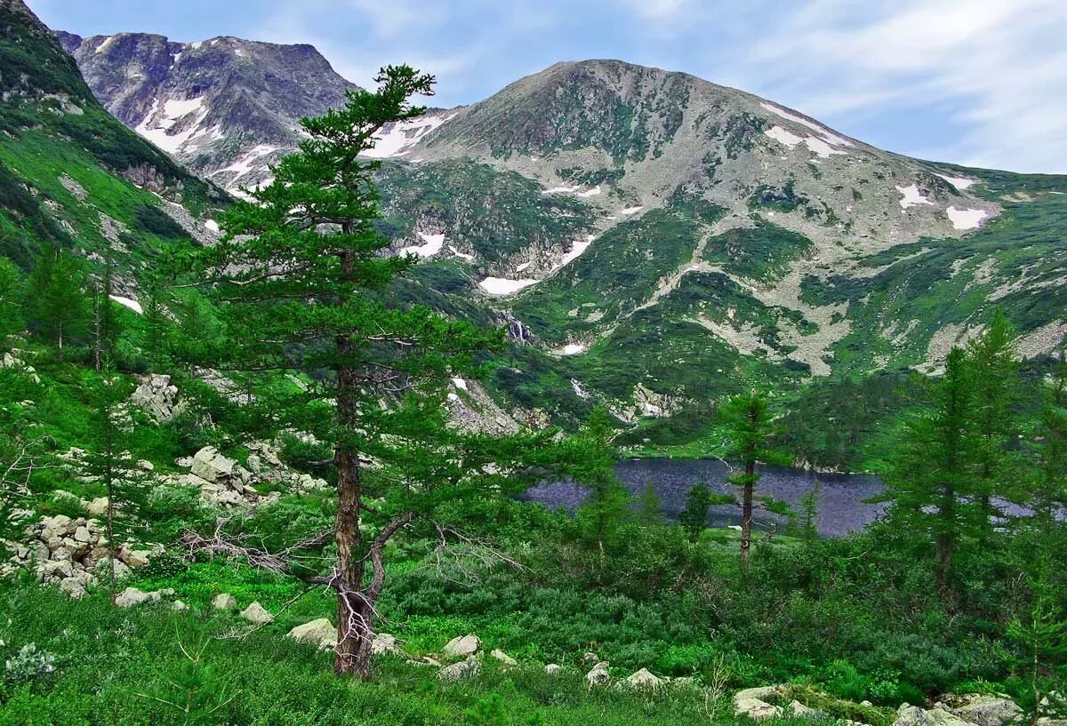 Кузнецкий алатау кузбасс. Кузнецкий алатау междуреченск. Национальные заповедники сибири. Заповедники: «центральносибирский» (красноярск). Центрально сибирский заповедник.
