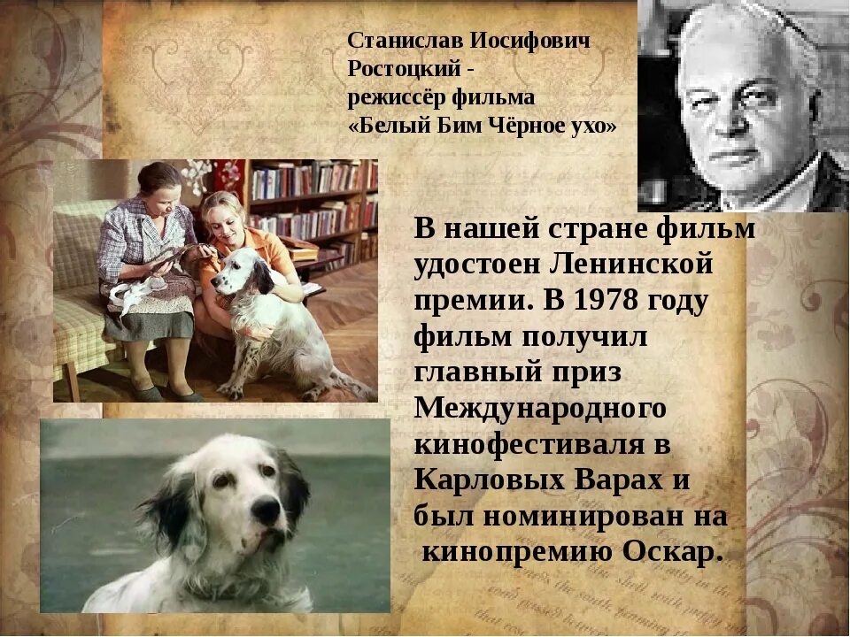 Г троепольский черное ухо. Белый Бим,черное ухо г. Троепольского,. Книга г Троепольского белый Бим черное ухо.