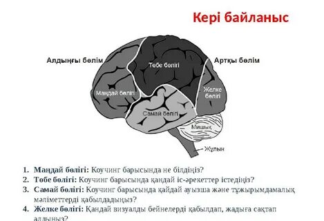 Орыс порносы: Әйелі сүйіктісінің көзінше күйеуін балағаттап, масқаралайды