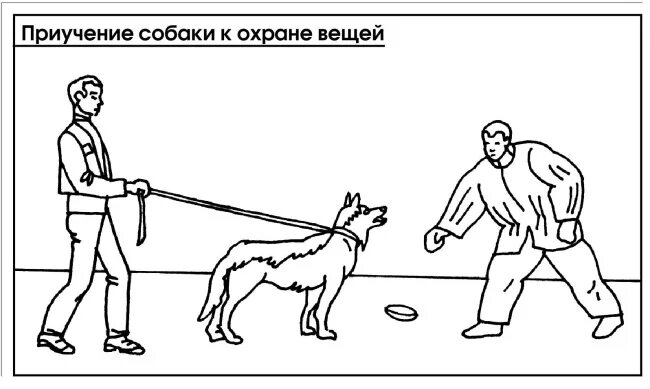 Дрессировка добермана. Южнорусская овчарка. Овчарка охрана. Как научить собаку команде рядом. Команда ко мне.