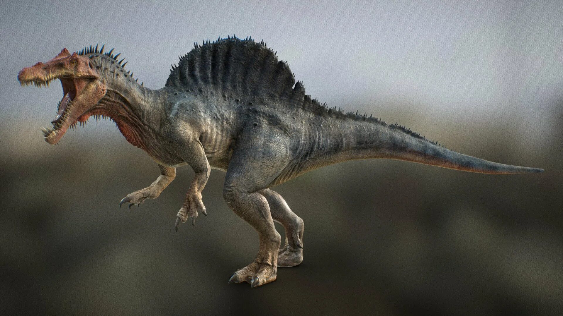 Динозавр Спинозавр. Спинозавр Египетский. Spinosaurus maroccanus. Спинозавр парк Юрского периода 3. Большой динозавр хищник