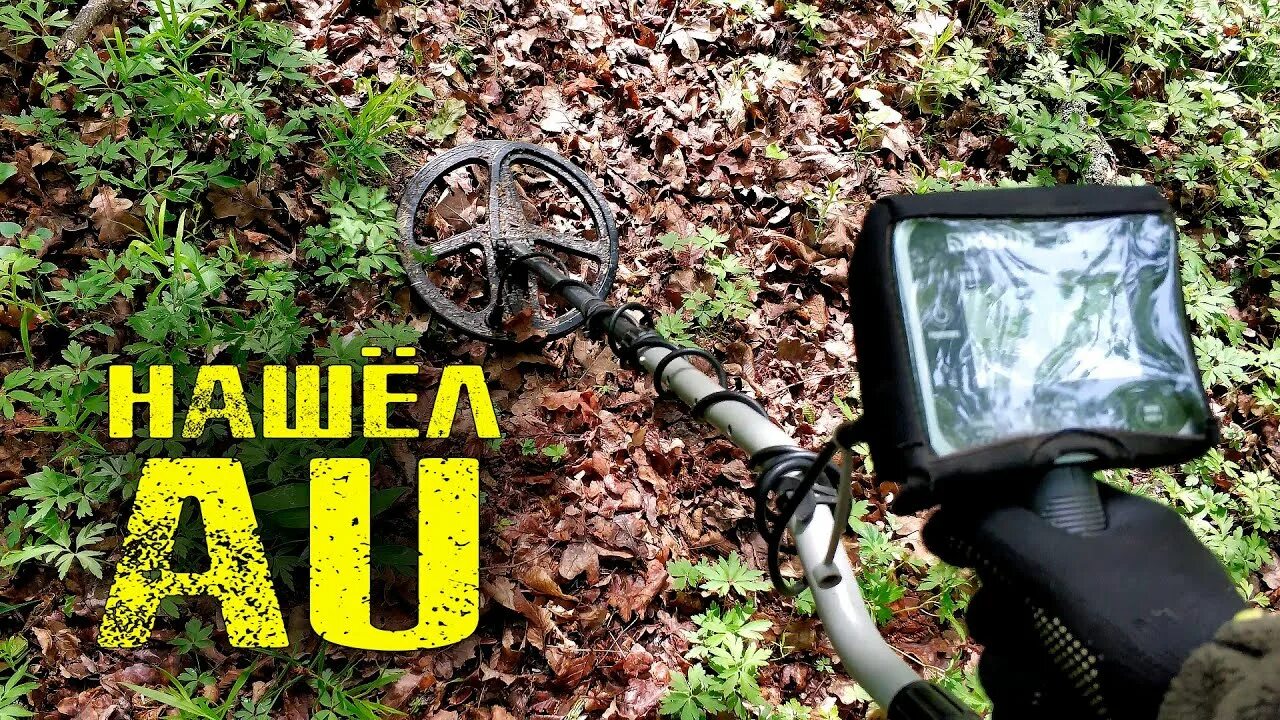 Рутус альтер