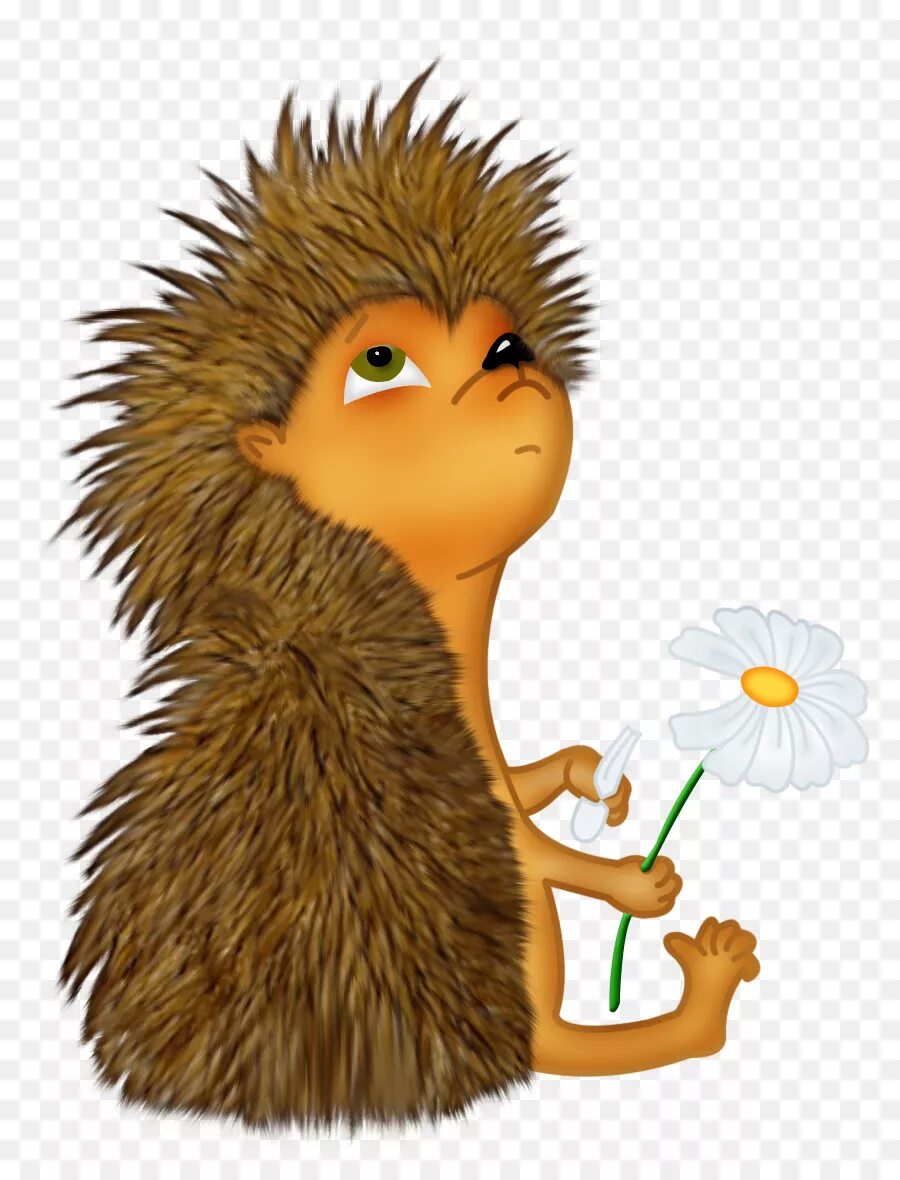 Задумчивый ежик. Ежик мультяшка. Ежик мультяшный. Безыглый еж. Задумчивый ежик.