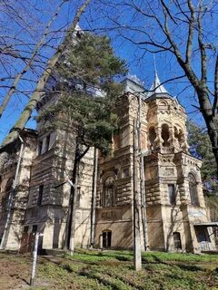 Дача сосновка