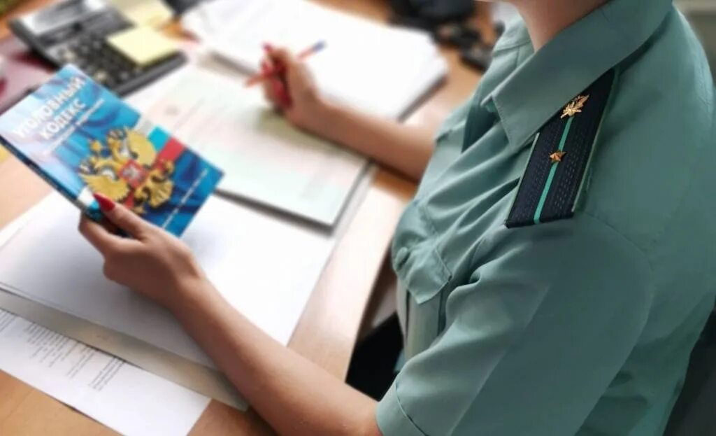 приставы взыскивают долг. образец заявления в прокуратуру на должника по алиментам. форма заявления для судебных приставов на взыскание алиментов. неплательщик алиментов. уплатить приставам.