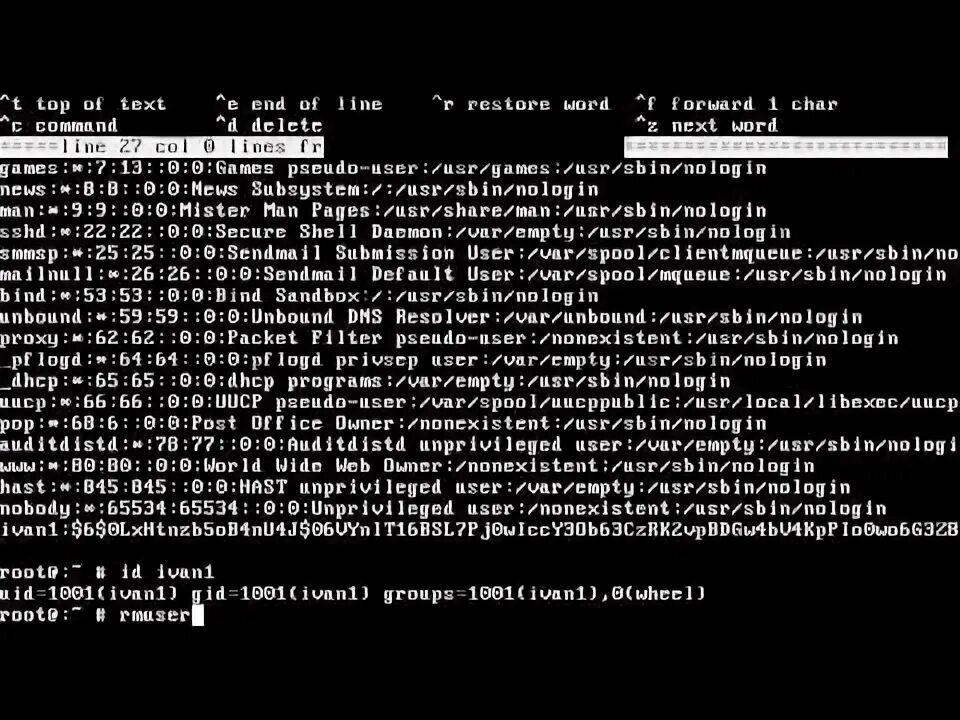 FREEBSD консольные команды. FREEBSD команды консоли. FREEBSD консольные игры. Тренажёр BSD 2.