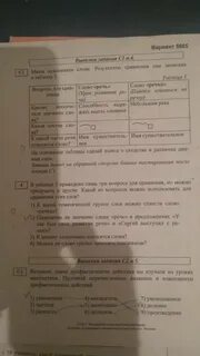 Озп тестирование пробное
