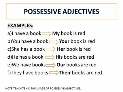 Example possessive