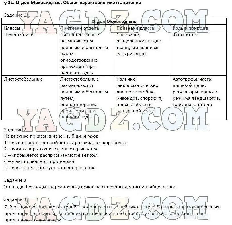 Биология 6 класс параграф 20 пересказ. Отдел Моховидные 6 класс биология таблица. Биология, 6 кл., § 21 "отдел Моховидные.. Таблица по биологии 6 класс отдел Моховидные. Таблица по биологии 5 класс отдел Моховидные.
