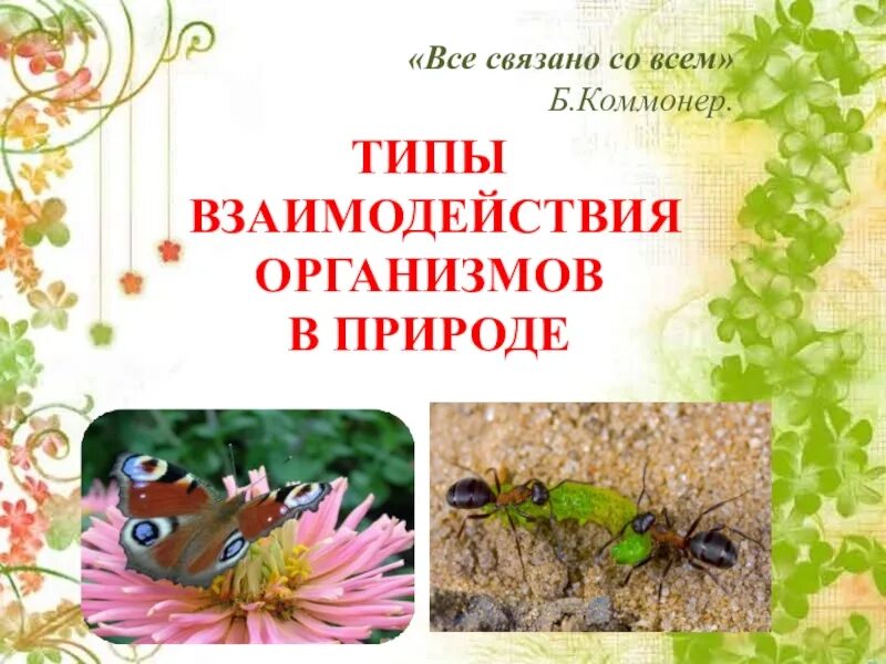 Типы взаимоотношений видов в экосистеме. Типы взаимоотношений организмов презентация. Типы взаимоотношений между организмами. Типы взаимоотношений организмов презентация. Типы взаимоотношений организмов презентация.