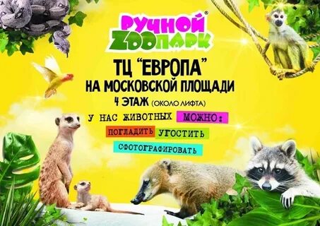Акварель тамбов расписание