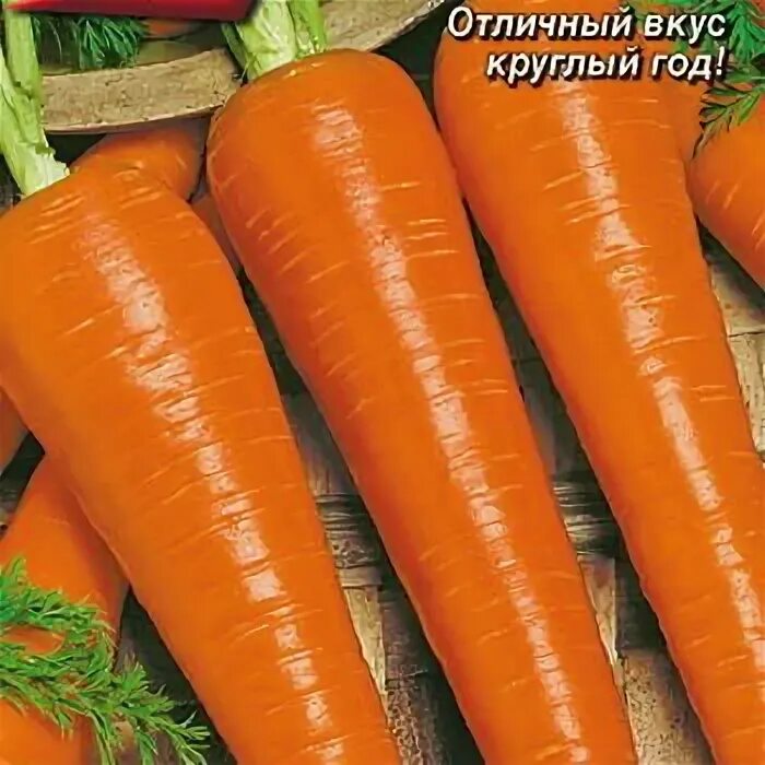 Смешная морковь. Одежда в виде моркови. Семена морковь ажур. Цель смешные картинки. Подругу морковкой.