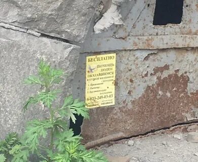 Пмж новосибирск