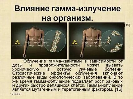 Гамма человек это