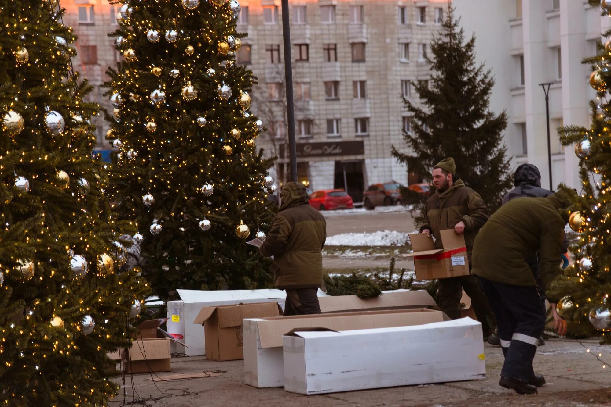 Выход елок