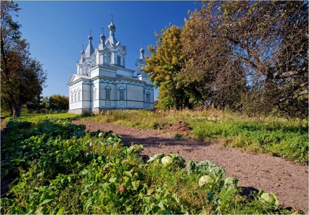 Брянская обл Баклань Церковь. Баклань. Церковь Спаса Преображения.. Преображенская Церковь (Баклань). Брянская Почепский Баклань Церковь