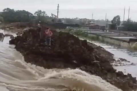 В прорыве дамбы виноваты грызуны