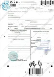 Документ 24