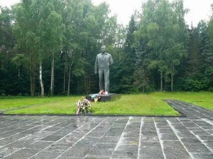 Городок гагарина