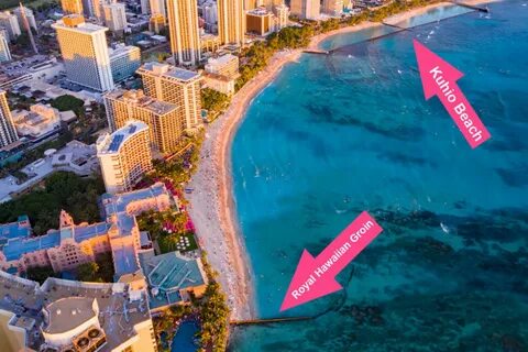 Waikiki turkey