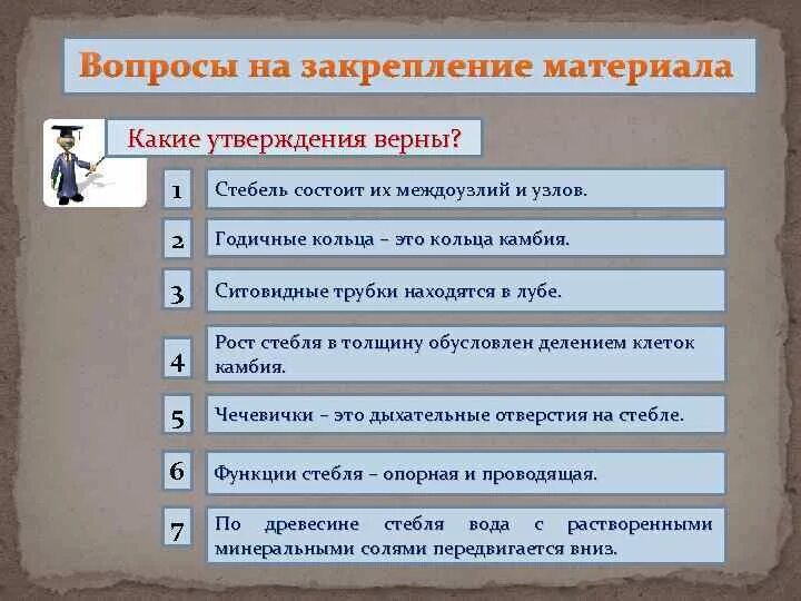 Какие утверждения верны клетка простейших выполняет роль. Вопросы на тему стебель. стебель состоит из междоузлий и узлов. какие утверждения верны о стебле. рост междоузлий.