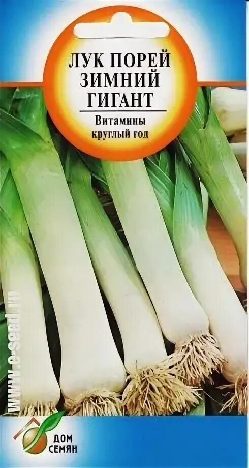 Лук порей гигант. Лук порей осенний гигант, 1г. Порей сибирский великан. Лук порей осенний гигант седек. Лук порей зимний гигант.