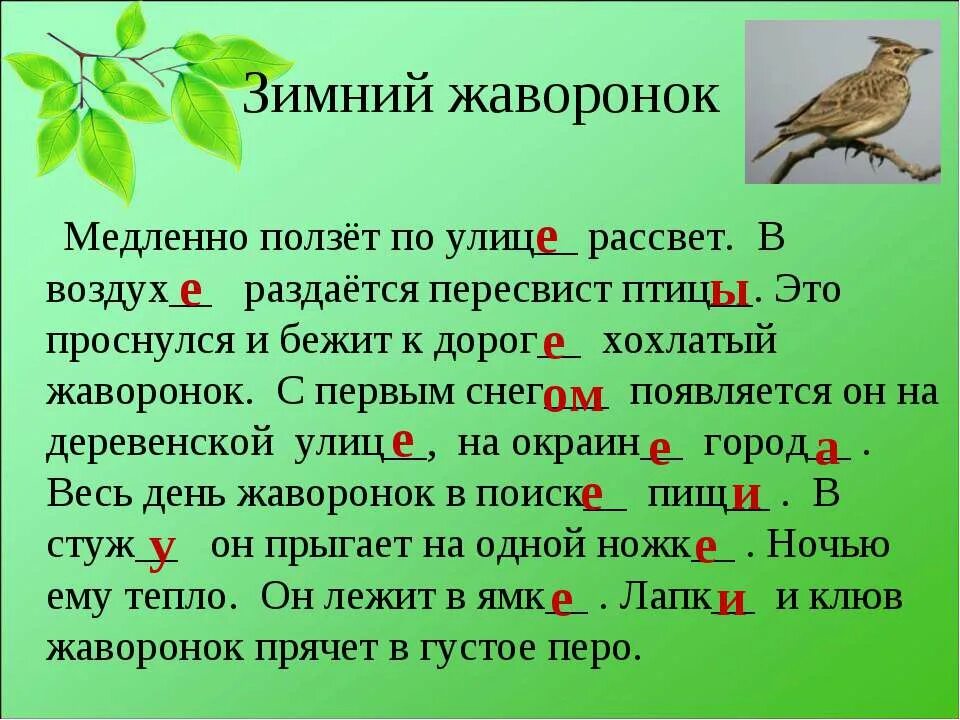 Падеж существительного птички. Диктант на окончания существительных. Безударные окончания существительных диктант. Диктант падежные окончания. Диктант безударные окончания существительных 4 класс.