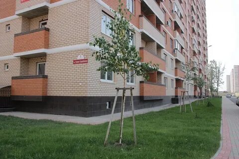 Кореновская 10 краснодар