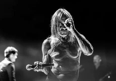 Iggy pop death