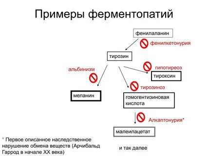 Ферментопатия