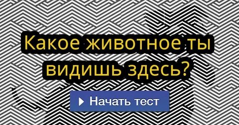 1 людей могут найти