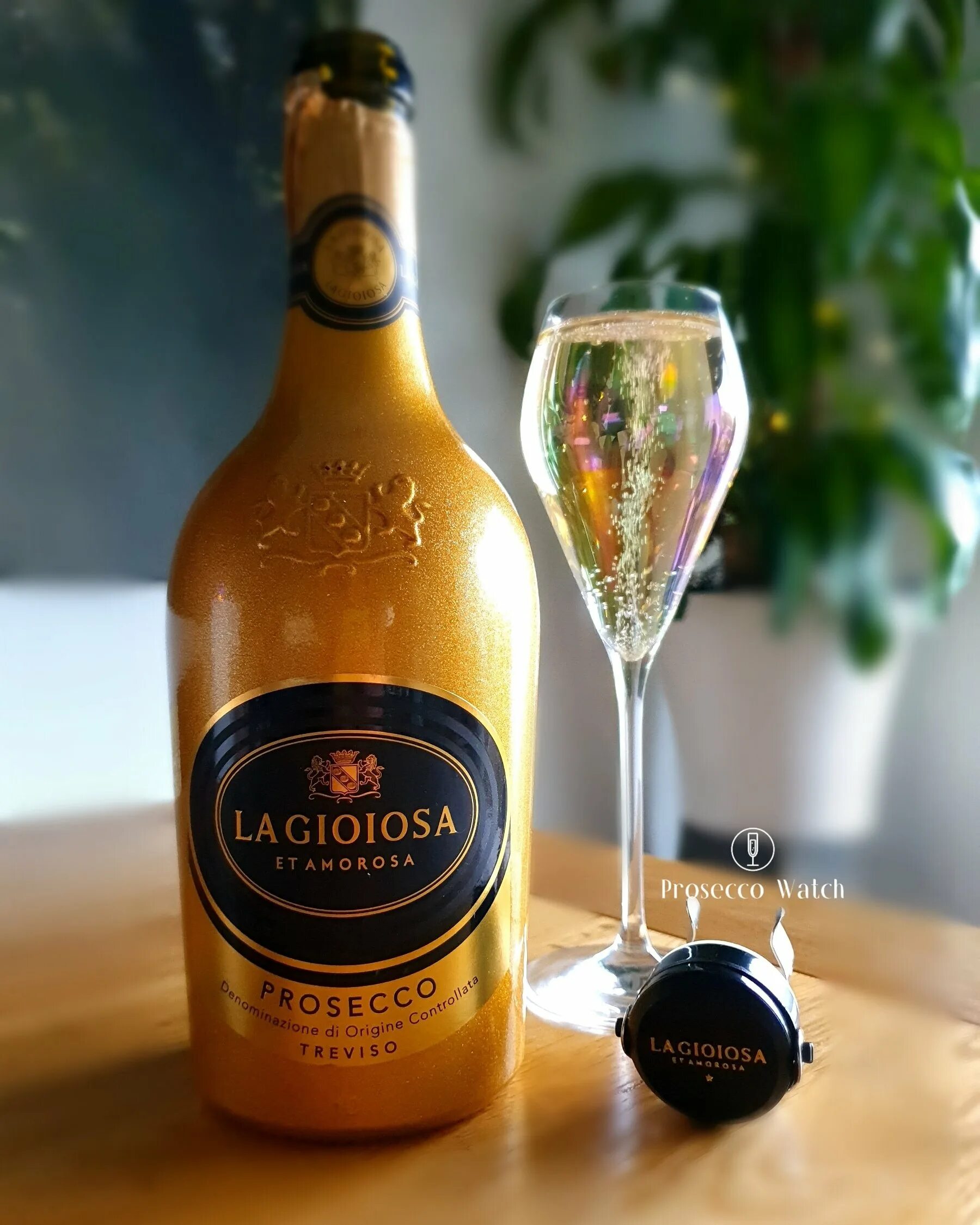 Вино la gioiosa prosecco treviso. Вино игристое ла джойоза просекко тревизо белое брют 0. Gioiosa просекко. Ла джойоза просекко тревизо 0,75. Вино ла джойоза просекко тревизо игристое белое брют.