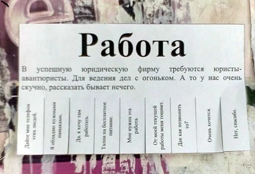 Смешные юристы