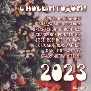 Новое с ноября 2023
