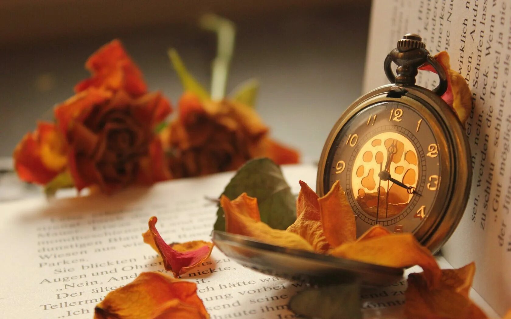 Время удивительная. Обои на рабочий стол книги. Часы "цветок". Часы осень. Поэтическая осень.