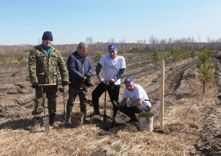 Курганское лесничество