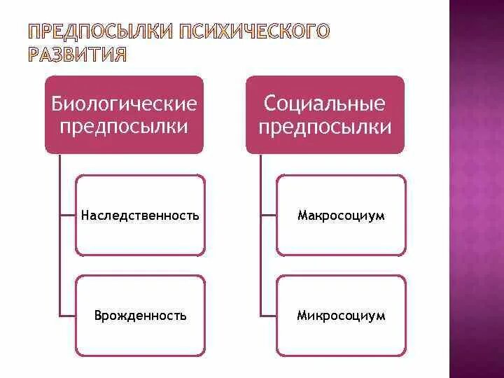 Социальное условие формирования человека. Предпосылки психического развития. Причины психического развития. Причины развития психики. Предпосылки возникновения психики.