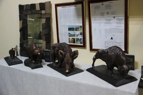 Выставка саранск