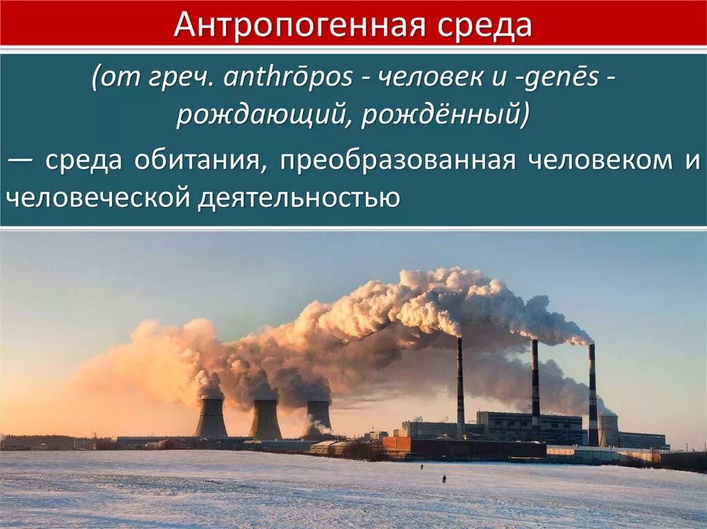 Антропогенные факторы среды экология. Антропогенная среда. Антропогенная среда обитания. Антропогенные факторы среды обитания. Антропогенная окружающая среда это.