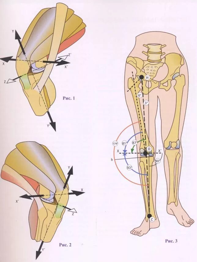 Ограничение движения в коленном суставе. Оси вращения коленного сустава. Биомеханика коленного сустава. Ротация сгибание разгибание коленного сустава. Коленный сустав оси движения.