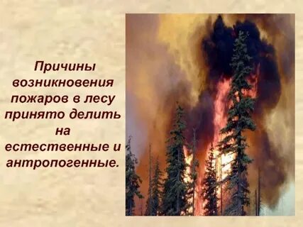 Причины возникновения природных пожаров антропогенные причины