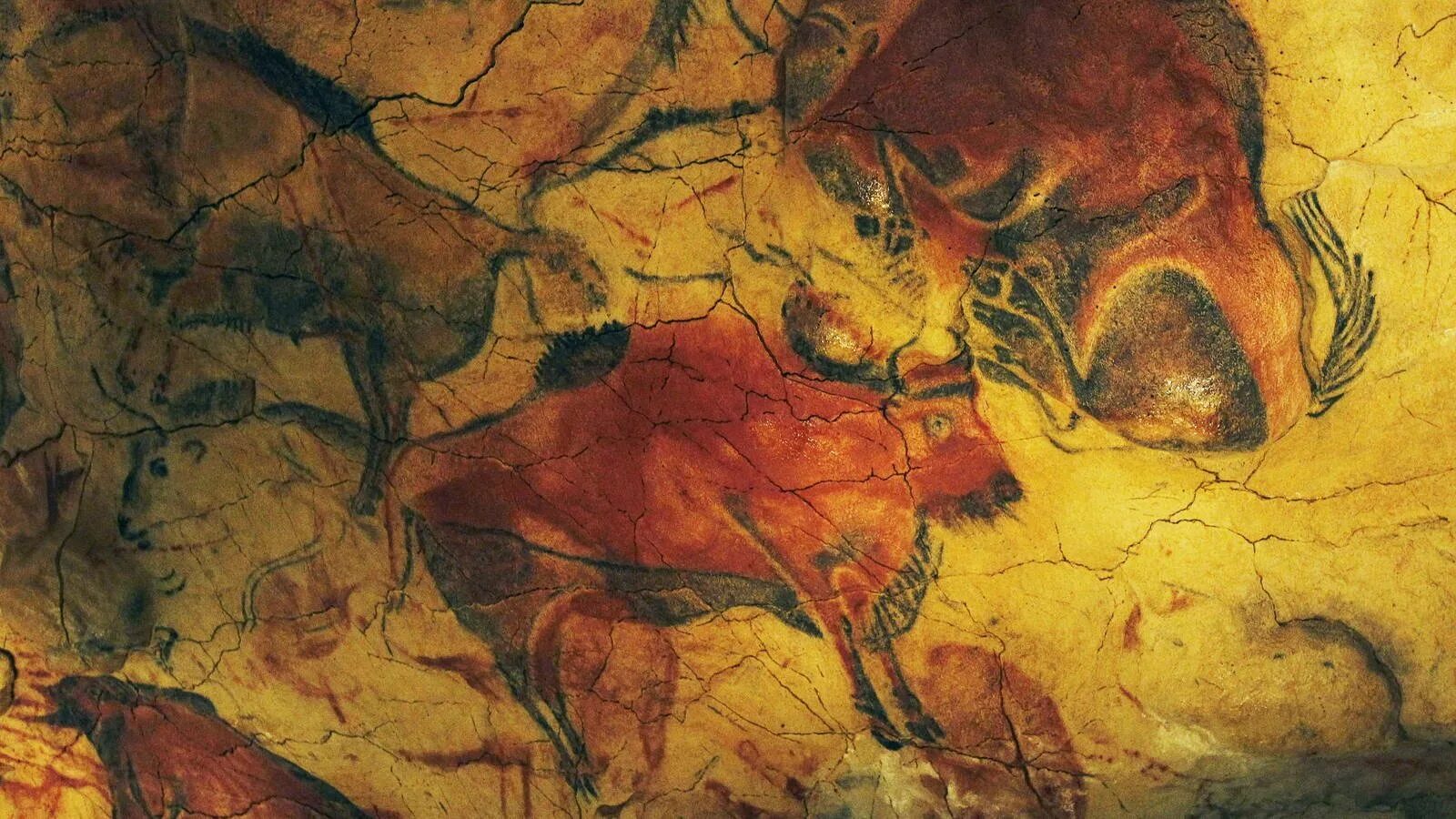 Наскальные рисунки испания. Бизон пещера альтамира испания. Бизон пещера альтамира испания. Наскальная живопись бизон пещера альтамира. Наскальные рисунки испания.
