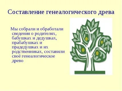 Презентация родословная 2