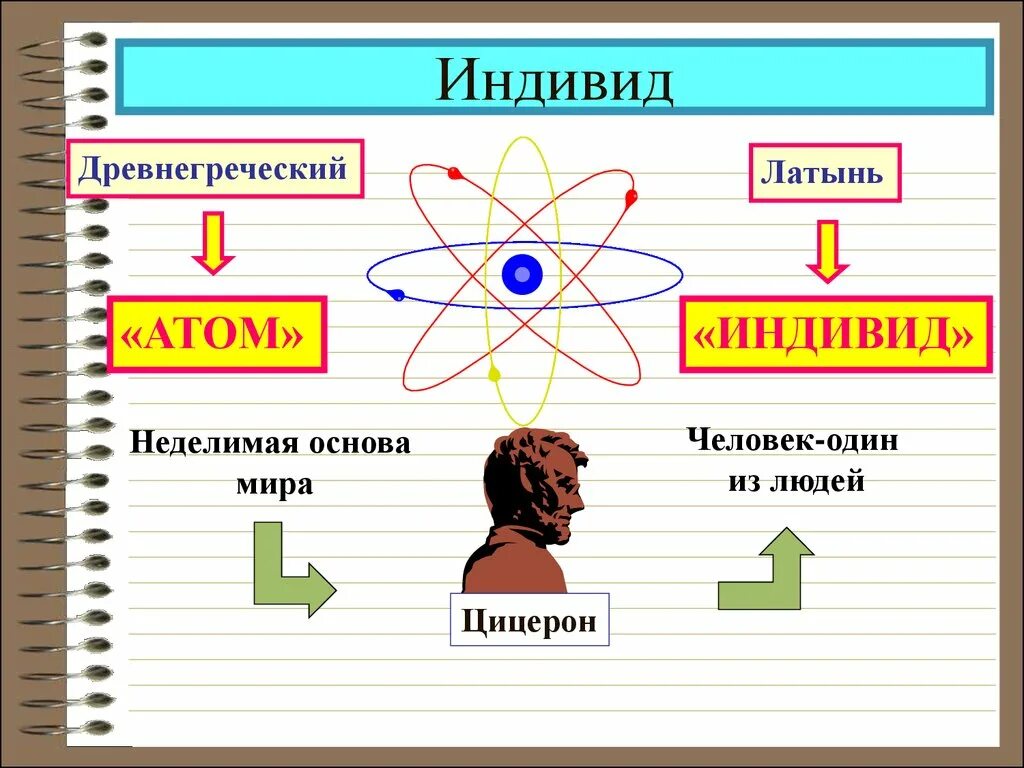 Обществознание про человека. Индивид. признаки человека обществознание. индивид с латыни. человек индивид личность картинки.