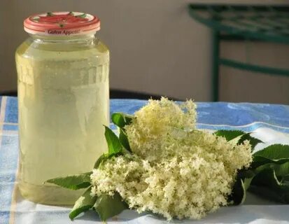 Сироп из цветов бузины рецепт