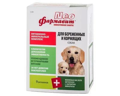 Корм для беременных собак